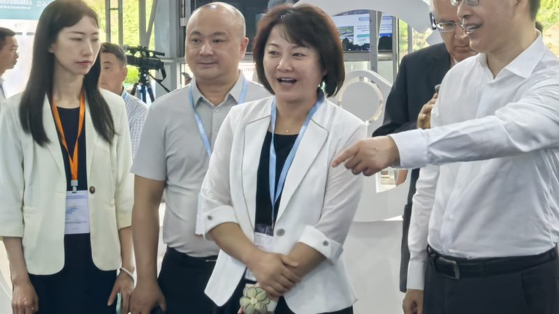 新能源汽车配件品牌推荐：性价比背后的考量因素